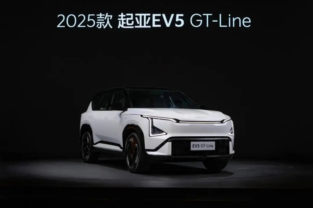 生存2024丨合资品牌年销量出炉，新能源时代下再创佳绩