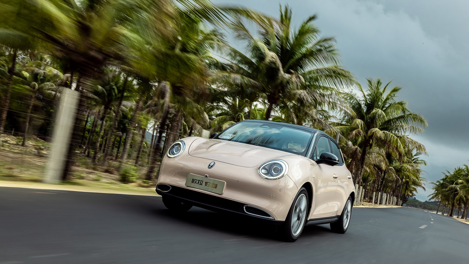 城市精灵 实用至上 试驾欧拉好猫2021款500km长续航波塞冬版 | 俞昆炫